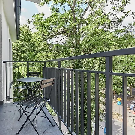 - Swan - 44 * 슈비노우이스쳬