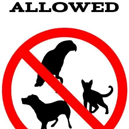 - Swan - 44 Διαμέρισμα