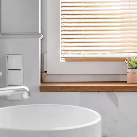 - Swan - 44 슈비노우이스쳬