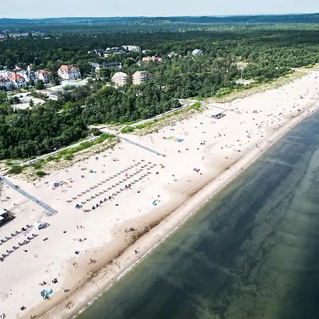 - Swan - 44 슈비노우이스쳬